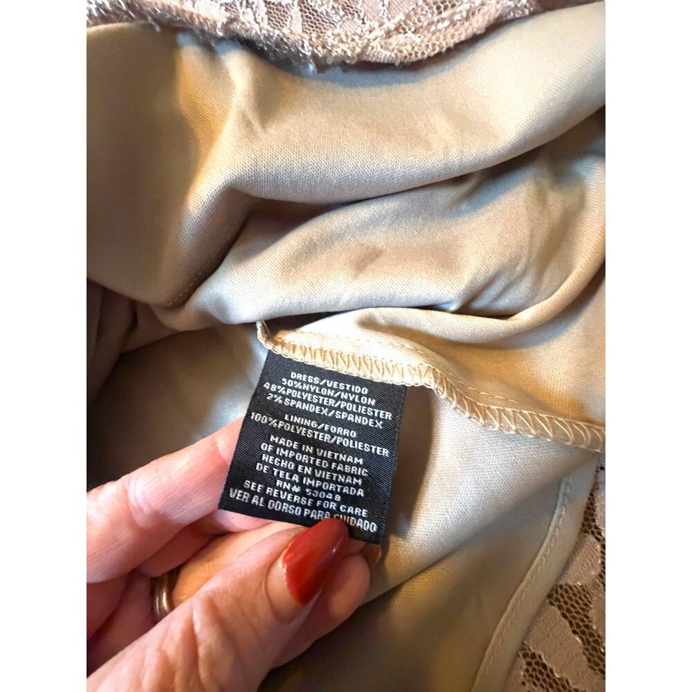 NW Taupe Nightway Lace Gown - Size 10 - Picture 11 of 16